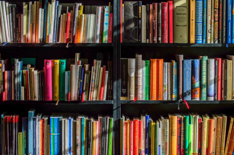 vente-CAGNES SUR MER-min_books_bookstore_book_reading_shop_writer_sale_books_read-822866
